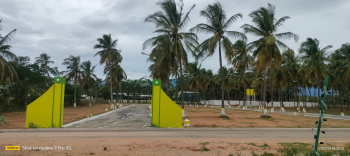  Residential Plot for Sale in Thondamuthur, Coimbatore