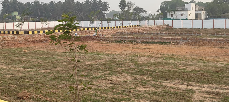  1500 Sq.ft. Agricultural/Farm Land for Sale in Uttara, Bhubaneswar