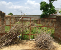  Residential Plot for Sale in Shiv Colony, Jhunjhunu