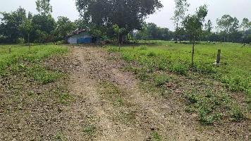  Commercial Land for Sale in Maharajpur, Jabalpur