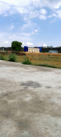  Residential Plot for Sale in Bhauwala, Dehradun