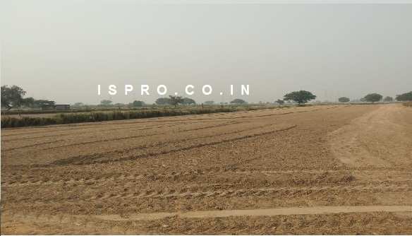 Agricultural Land 1 Acre for Sale in Sultanpur, Gurgaon