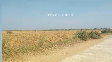  Agricultural Land for Sale in Badsa, Jhajjar