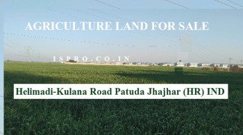  Agricultural Land for Sale in Patauda, Jhajjar