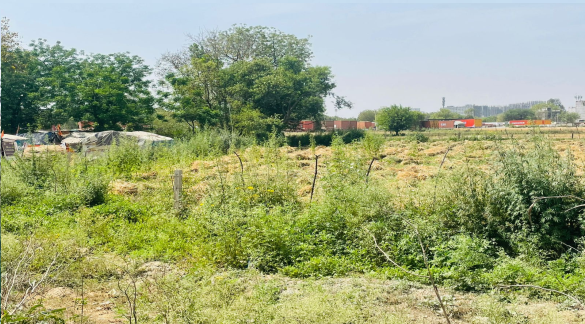 Agricultural Land 1 Acre for Rent in
