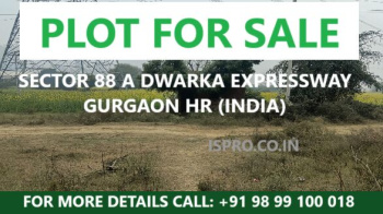  Agricultural Land for Sale in Dwarka Expressway, Gurgaon