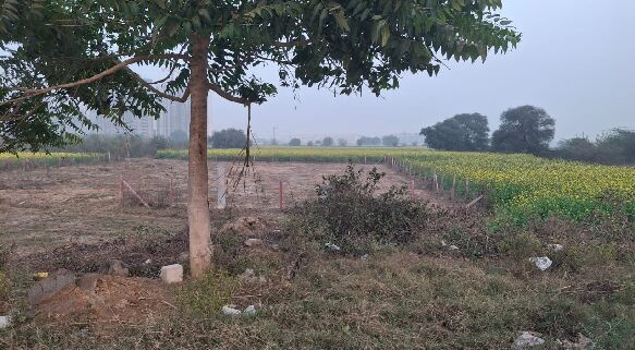  Agricultural Land 4000 Sq. Yards for Sale in Dwarka Expressway, Gurgaon