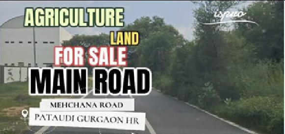  Agricultural Land 4840 Sq. Yards for Sale in Pataudi, Gurgaon