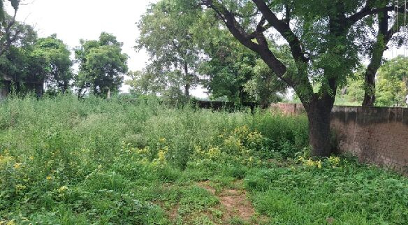  Agricultural Land 4840 Sq. Yards for Sale in Pataudi, Gurgaon
