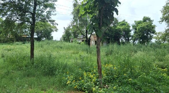  Agricultural Land 4840 Sq. Yards for Sale in Pataudi, Gurgaon