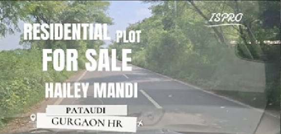  Residential Plot 450 Sq. Yards for Sale in Pataudi, Gurgaon