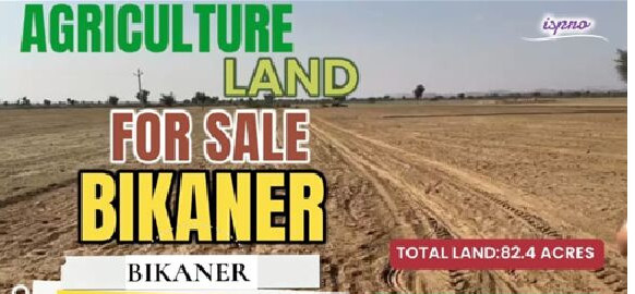  Agricultural Land 82 Acre for Sale in Brindavan Enclave, Bikaner