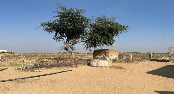  Agricultural Land 82 Acre for Sale in Brindavan Enclave, Bikaner