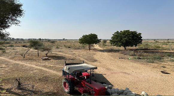 Agricultural Land 82 Acre for Sale in Brindavan Enclave, Bikaner