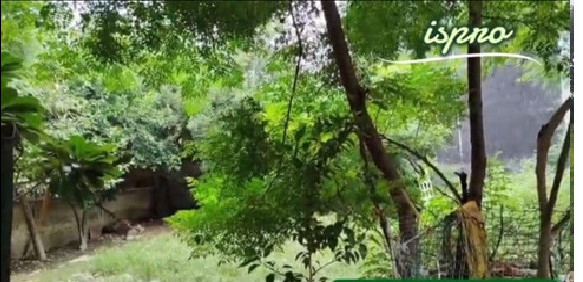  Residential Plot 200 Sq. Yards for Sale in Vishnu Garden, Gurgaon