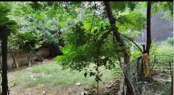  Residential Plot 200 Sq. Yards for Sale in Vishnu Garden, Gurgaon