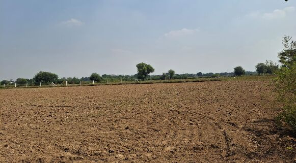  Residential Plot 14 Acre for Sale in Pataudi, Gurgaon
