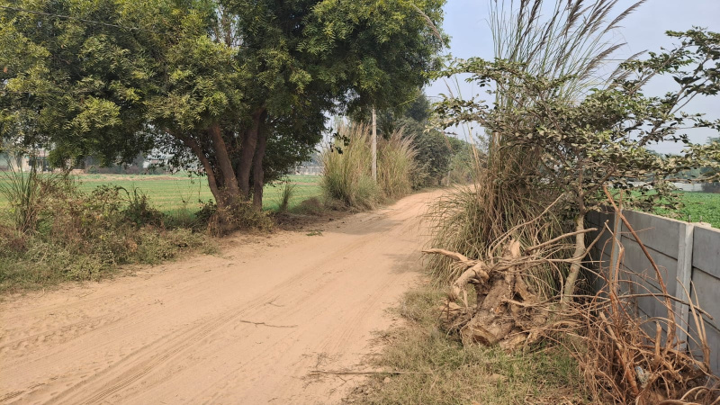  4 Acre Agricultural/Farm Land for Sale in NH 8, Gurgaon