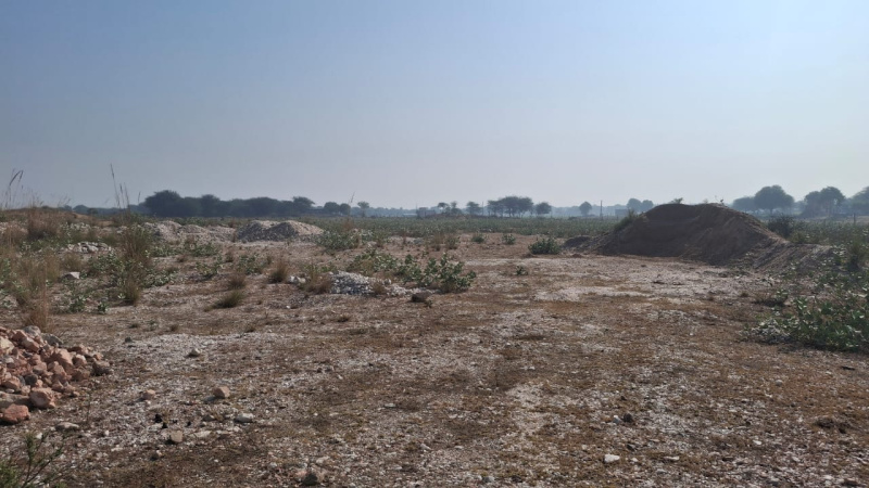  30 Bigha Agricultural/Farm Land for Sale in NH 8, Behror