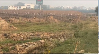 Residential Plot for Sale in Dwarka Expressway, Gurgaon