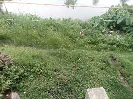  Agricultural Land for Sale in Raninagar, Murshidabad