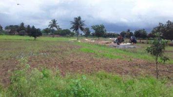  Agricultural Land for Sale in Nagpura, Durg