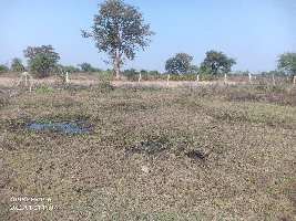  Agricultural Land for Sale in Utai, Durg
