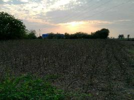  Agricultural Land for Sale in Phirangipuram, Guntur