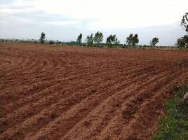  Agricultural Land for Sale in Cherial, Warangal