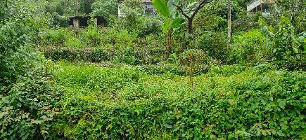  Agricultural Land for Sale in Mirik, Darjeeling