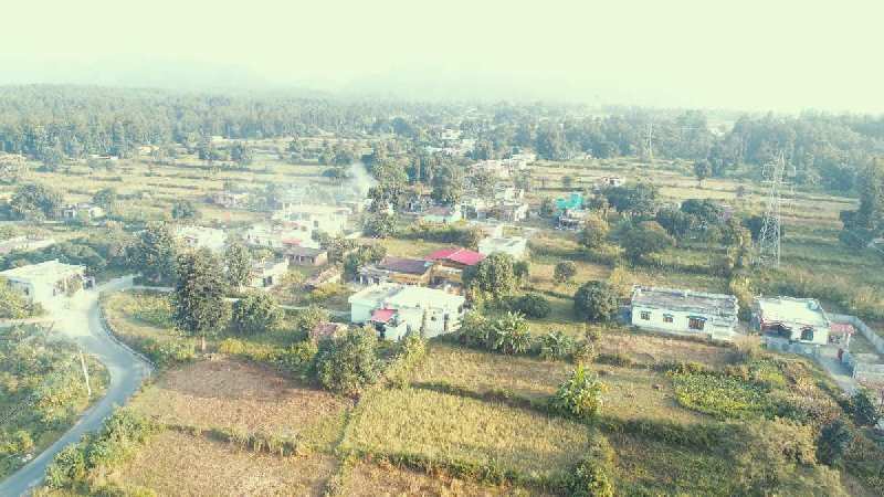 1 Bigha Residential Plot for Sale in Dhaulas, Dehradun