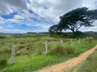  Agricultural Land for Sale in Nallur, Chikmagalur