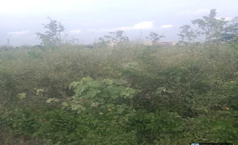  Residential Plot 1450 Sq.ft. for Sale in Taraori, Karnal