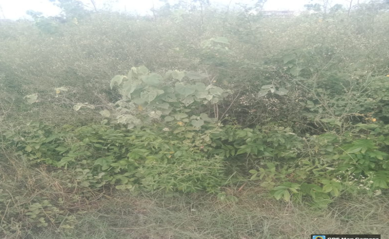  Residential Plot 1450 Sq.ft. for Sale in Taraori, Karnal