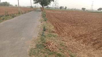  Agricultural Land for Sale in Garhi Bolni Road, Rewari