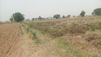  Agricultural Land for Sale in Pataudi, Gurgaon