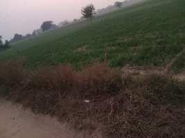  Agricultural Land for Sale in Pataudi, Gurgaon