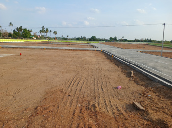  Residential Plot for Sale in Panjapur, Tiruchirappalli