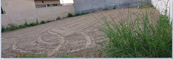  Residential Plot for Sale in Sain Garh, Pathankot