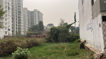  Residential Plot for Sale in Ram Bagh, Patiala