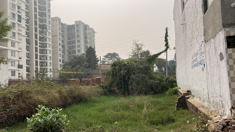  Residential Plot 170 Sq. Yards for Sale in Ram Bagh, Patiala