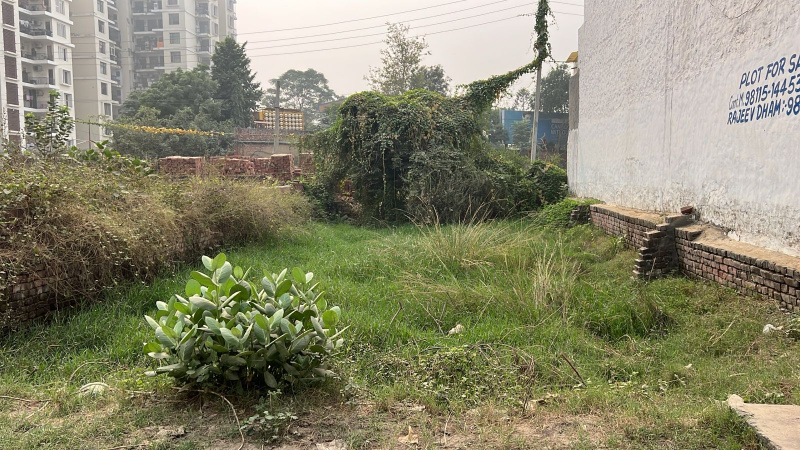  Residential Plot 170 Sq. Yards for Sale in Ram Bagh, Patiala