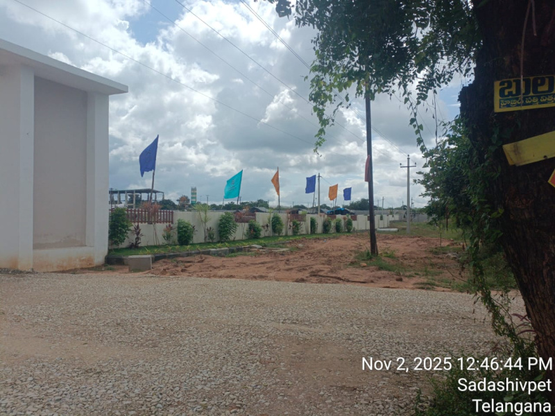  165 Sq. Yards Residential Plot for Sale in Kandi, Sangareddy