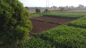  Agricultural Land for Sale in Keshampeta, Mahbubnagar