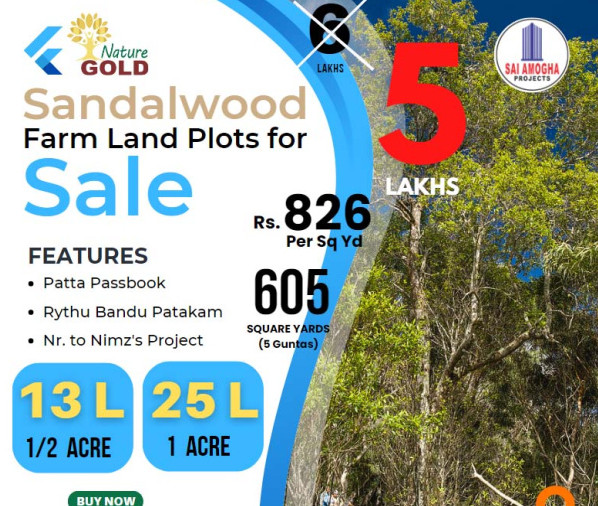 Agricultural Land 605 Sq. Yards for Sale in Narayanguda, Hyderabad