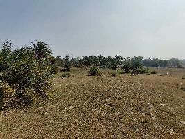  Agricultural Land for Sale in Raniganj, Bardhaman