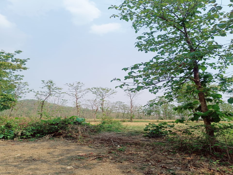  Agricultural Land 18 Hectares for Sale in Ganeshpur, Bhandara