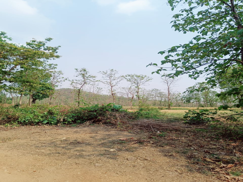  Agricultural Land 18 Hectares for Sale in Ganeshpur, Bhandara
