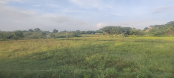  Agricultural Land for Sale in Manamadurai, Sivaganga