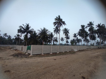  Residential Plot for Sale in Malatipatpur, Puri